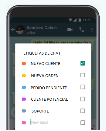 Categorias de chat Whatsapp para negocios