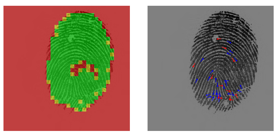Fingerprints with little minutiae